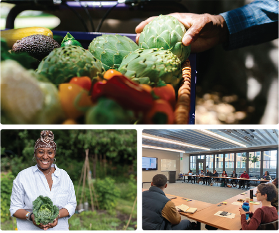 ETC community work collage